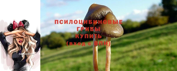 шишки Окуловка