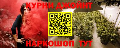 стафф Донской
