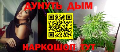 стафф Донской