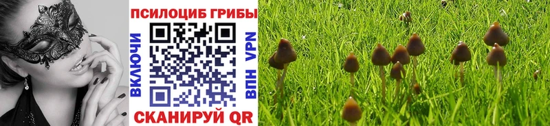 Галлюциногенные грибы Magic Shrooms  Узловая 
